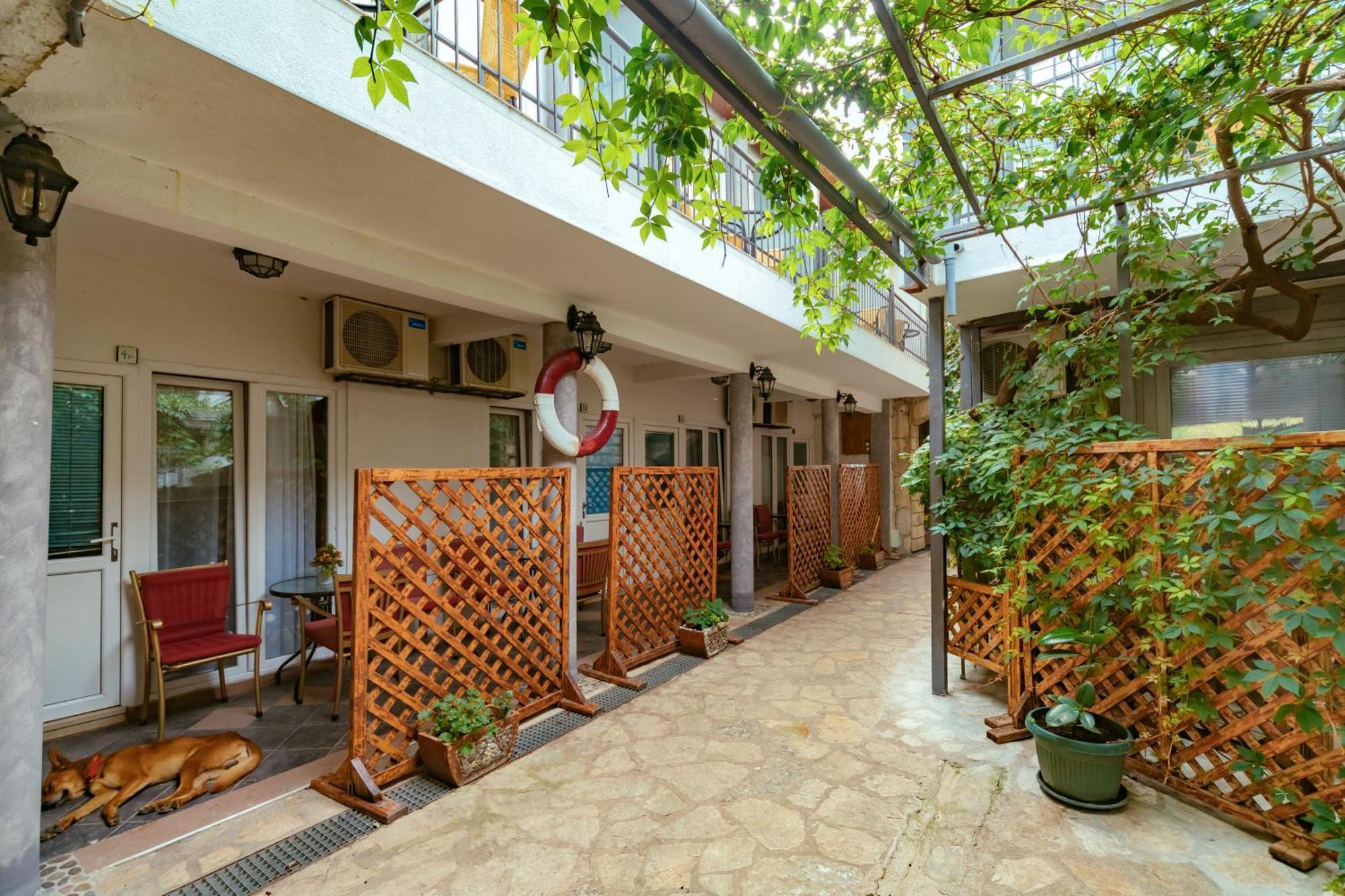 Hotel Savojo Petrovac Luaran gambar